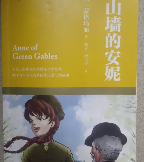 一些课外读物，非常不错，我觉得窗边的小豆豆...