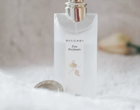 Bvlgari宝格丽白茶茗珍古龙持久清新女...