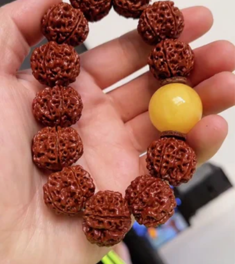 尼泊尔古龙大梅花，精心盘玩2年多，22尺寸...