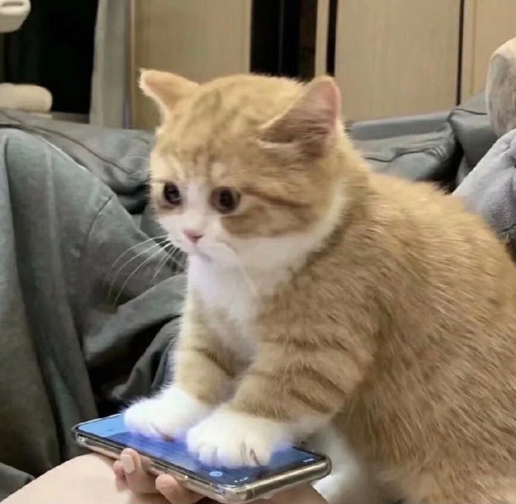 专业后期修图(先挂链接后期会更新图片)