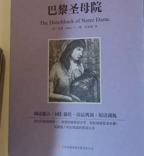 巴黎圣母院,复活,包法利夫人,契诃夫短篇小...