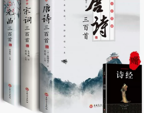 三百唐诗宋词赠诗经彩色图解唐诗三百首宋词三...
