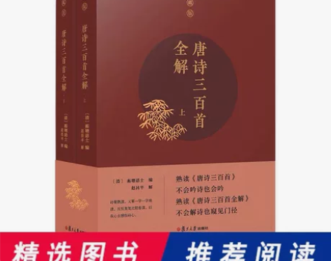 唐诗三百首全解（典藏版）2本 感兴趣的话点...