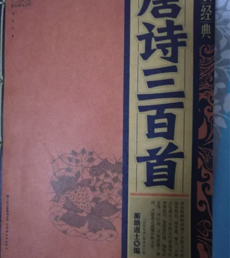 唐诗三百首，9.9成新，一口价20元，学生...