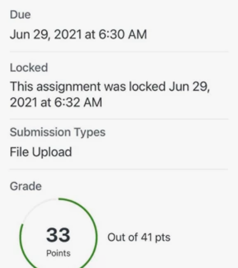 留学生辅导学习答疑，英文答疑金融经济/战略...