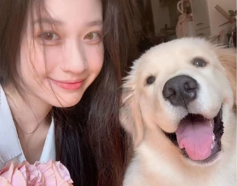 长春家教补习啦 小学的英语语文 初中的政治...