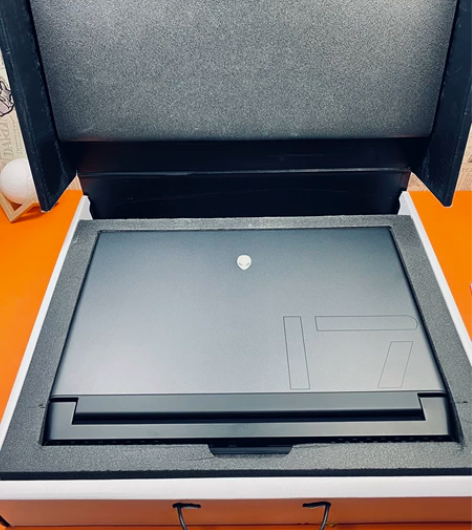 外星人m17R4 i7 10870 306...