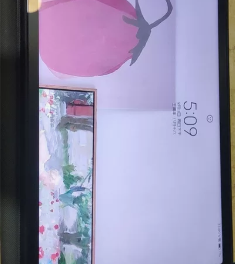 小米平板5绿色6+256大概3月份激活的，...