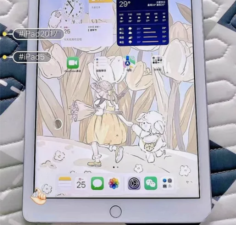 毕业女大学生转让自己用iPad5，功能都很...