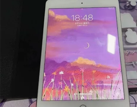 带笔一块出，孩子用的ipad 95新 的 ...