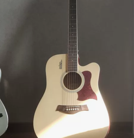 我也想不起来什么牌子的吉他，原价六百多、拍...