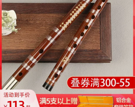 董生华笛子竹笛初学成人零基础入门学生F调儿...