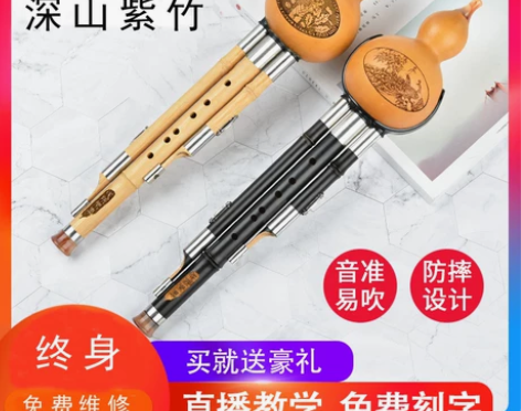 葫芦丝乐器初学者c调降b调儿童小学生入门专...