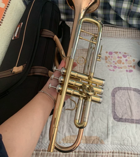 乐队专用小号 总体9新，不配号嘴 599元...