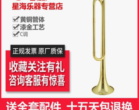 小号星海 金音JYBG-E150黄铜专业演奏