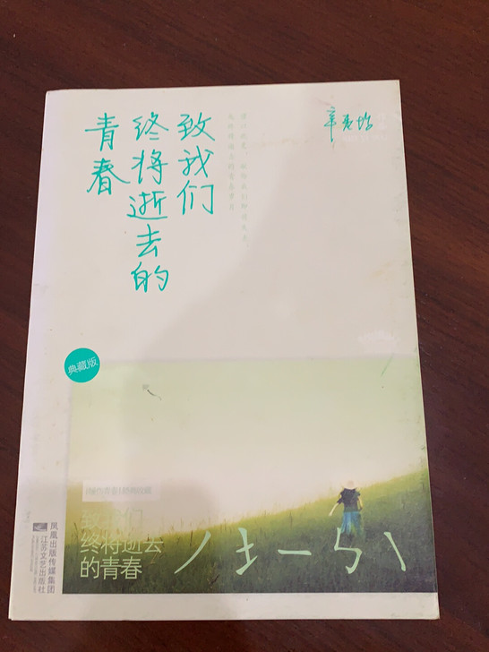 致我们终将逝去的青春