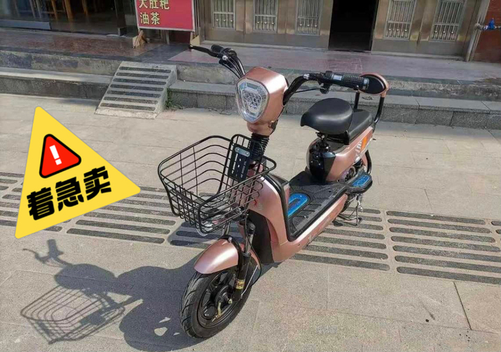 【急出】新国标3C电动车新款成人48V电动...