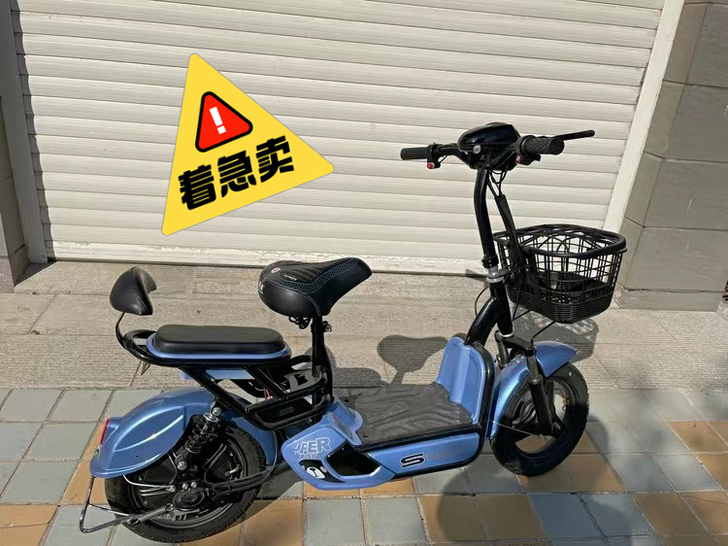 全新未拆封包邮新国标电动自行车锂电池电动车...