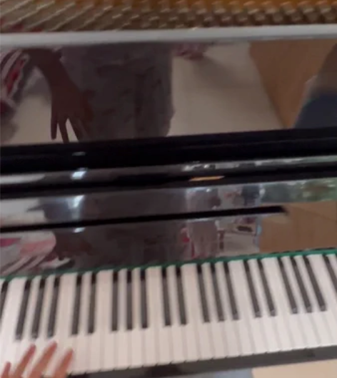 自家用的星海钢琴（含琴凳） 品牌保证，音色...