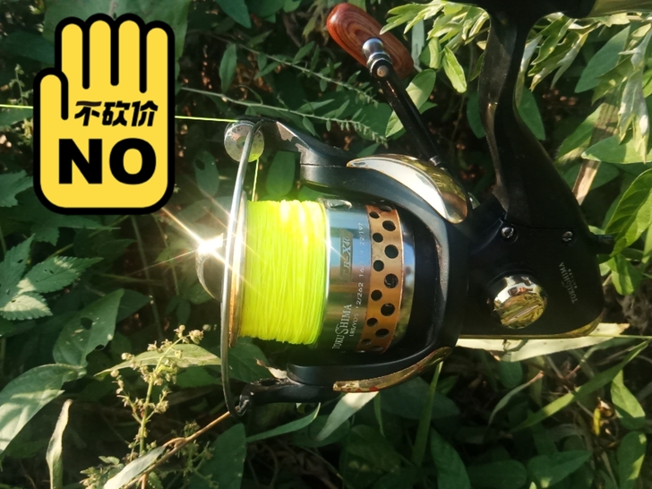 老款德岛，后拨式止逆开关，钓过最大的是在黑...