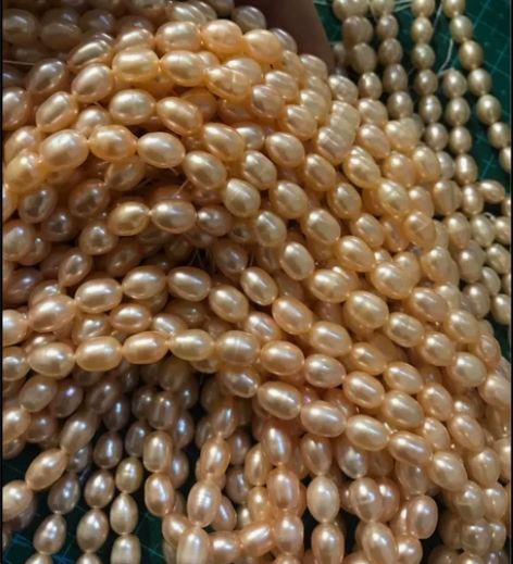 22块一条的长米要什么自行车！！！ 想要速...