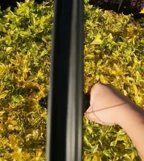 伊斯顿EC90XC轮组，26碳纤维轮组，成...