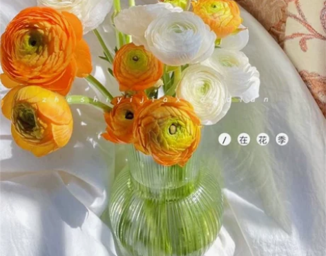 店不开了，出玻璃花瓶简约透明ins北欧水养...