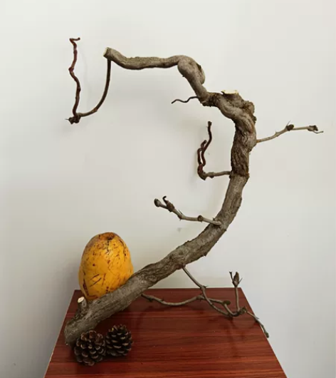 文玩挂架 插花素材 书桌摆件 盘龙枣...