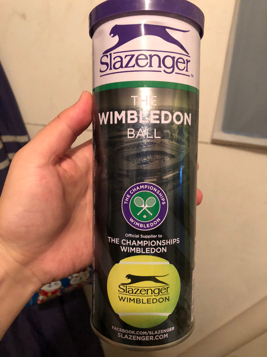 自己打不了，全新史莱辛格网球3粒装，35/...