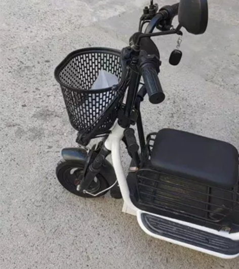 飞鸽电动车，很新，才买半年。电池很耐跑，小...