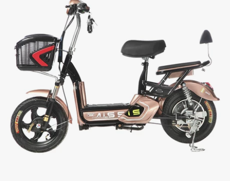 新款思帝诺48V电动车男女性电动自行车成人...