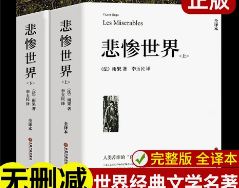 正版 悲惨世界 上下2册 完整版无删减原版...