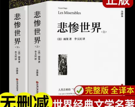 完整版无删减】悲惨世界 上下2册原版带注释...