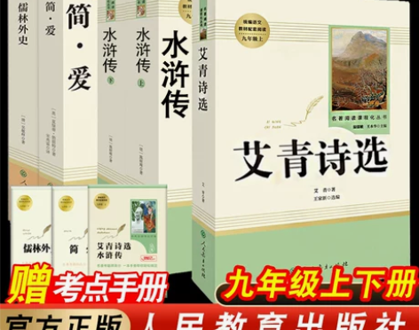 水浒传 水浒传儒林外史简爱九年级下册必读人...