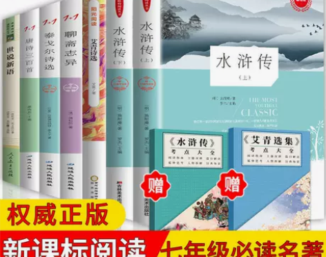 正版水浒传艾青诗选泰戈尔九年级上册语文原著...