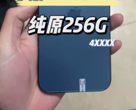 新到一台苹果12promax国行256G纯...