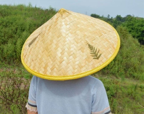 2个装斗笠竹编防雨防晒草帽遮阳竹编斗笠帽 ...