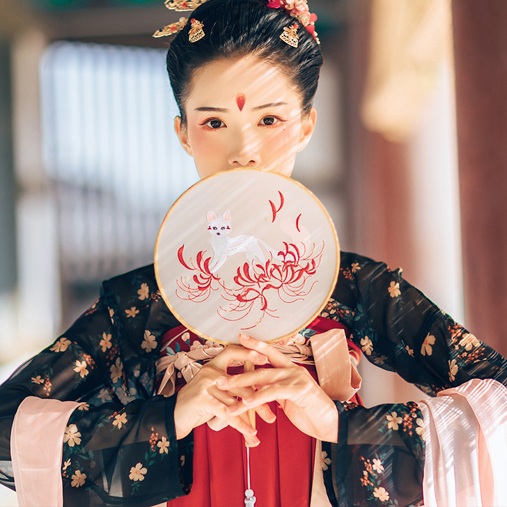 汉尚华莲汉服配饰古风刺绣中国风小团扇跳舞蹈...