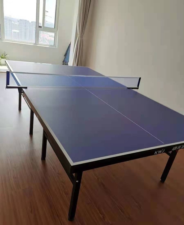 室内乒乓球台全新包邮乒乓球桌家用乒乓球准折...