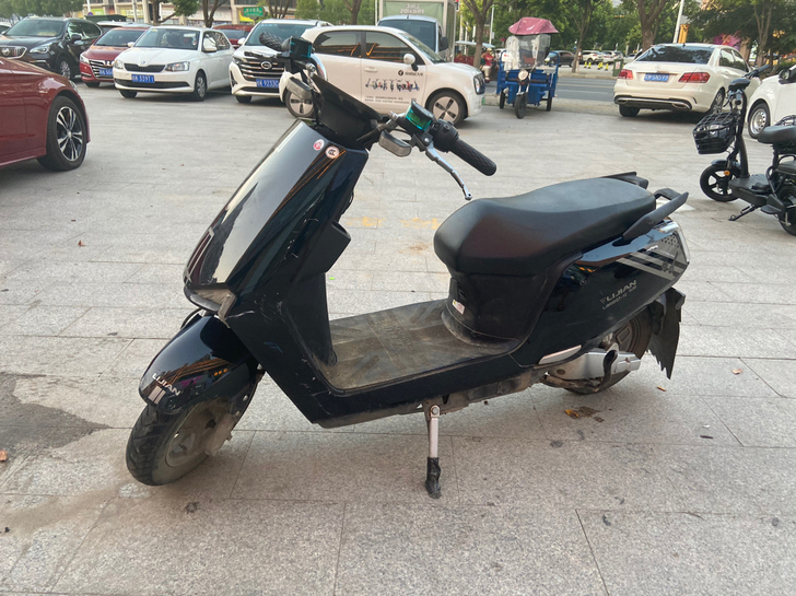 立箭双碟刹电动车 看车地址 临泉 中泰锦城...