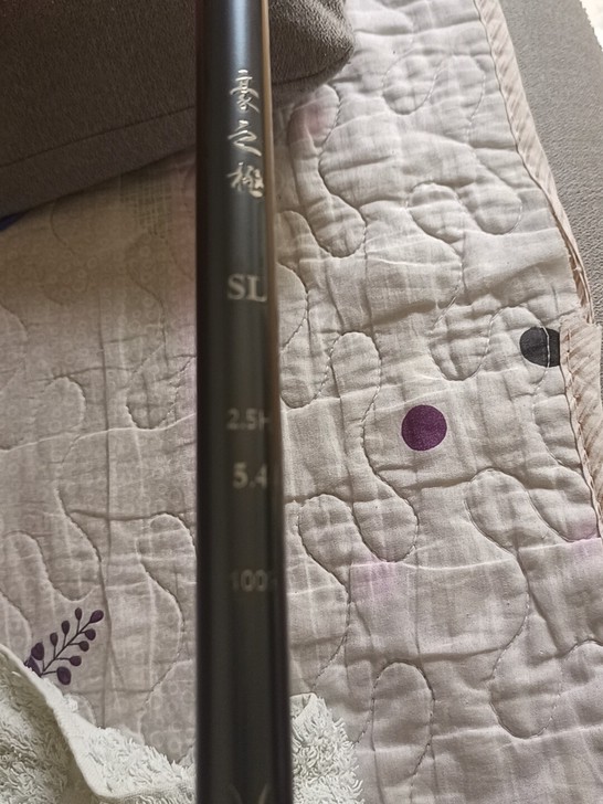 品牌型号 宝飞龙豪之极5.4