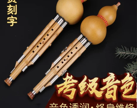 葫芦丝 葫芦丝初学楠竹入门儿童零基础入门C...