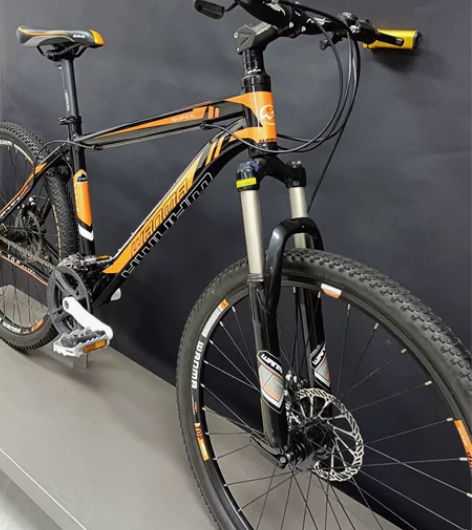 儿童山地自行车 成人山地自行车 非 捷安特...