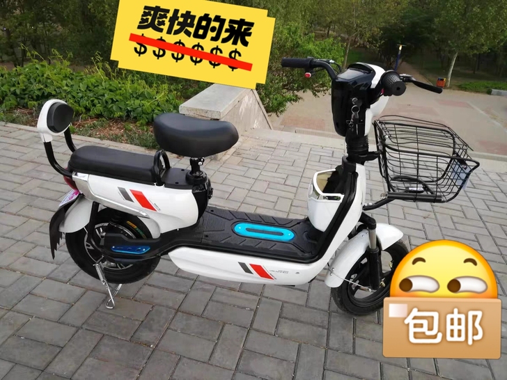 新国标新款电动车电瓶电动自行车小型成年人男...