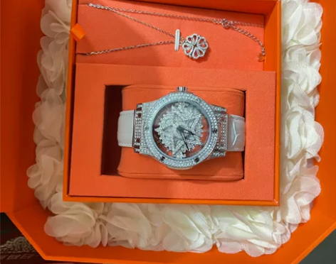 DAVENA手表加项链礼盒,全新,意向私信...