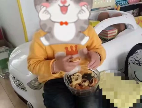 小龙哈彼推车是深色迷彩的，电动汽车，旱冰鞋...