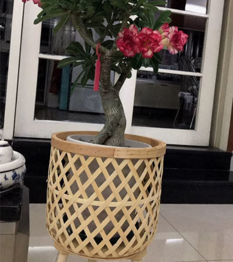 北欧ins风客厅植物竹编花篮装饰龟背竹藤编...