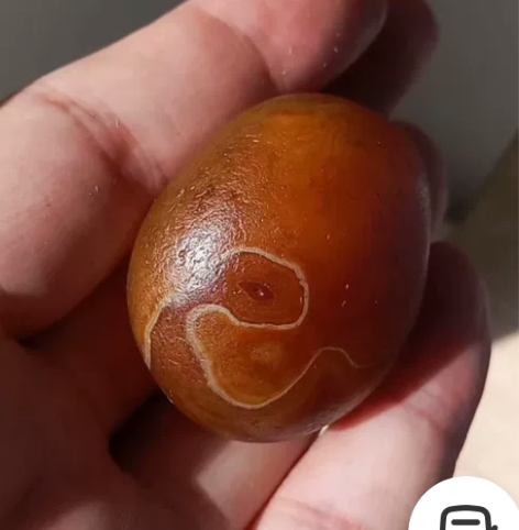 【两相望】红与黑。红马料+黑马料，俏色条纹...