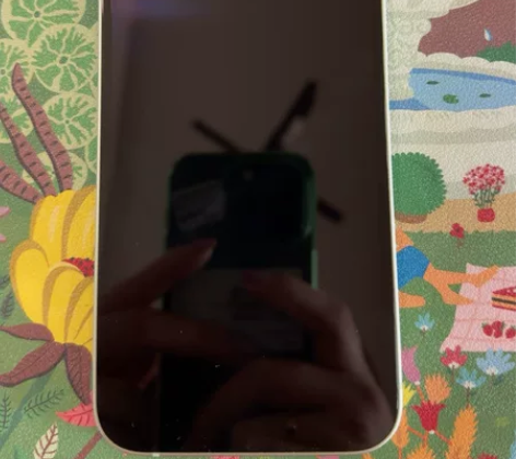 Apple/苹果 iPhone 12 25...