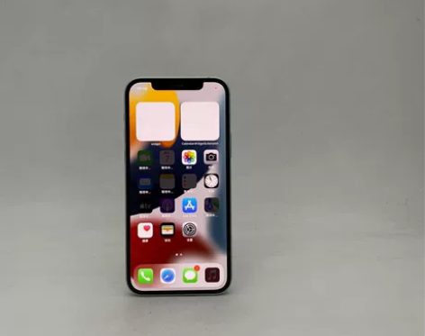 Apple/苹果 iPhone 12  二...